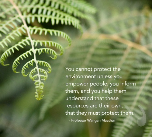 you-cannot-protect-the-environment-unless-you-empower-people-environment-quote